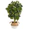 4ft. Schefflera Artificial Tree in Boho Chic Handmade Cotton & Jute White Woven Planter (Real Touch)